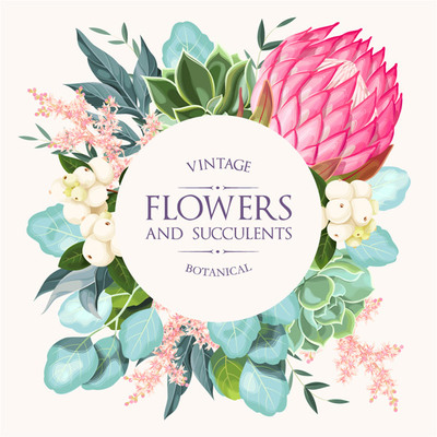 花卉與多肉植物的魅力與養(yǎng)護(hù)指南